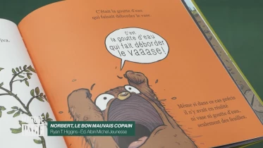 Norbert, le bon mauvais copain