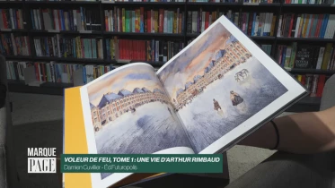 Voleur de feu, Tome 1: une vie d&#039;Arthur Rimbaud