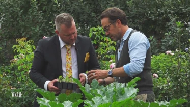 L&#039;automne au jardin