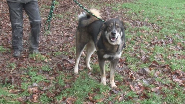 Présenté par Lolita Morena