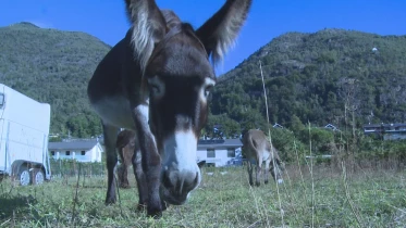 Présenté par Lolita Morena