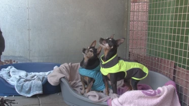 Présenté par Lolita Morena