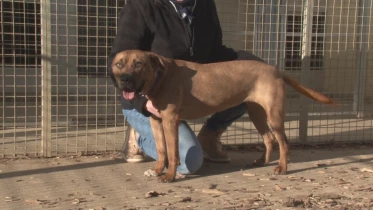 Présenté par Lolita Morena