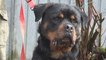 Présenté par Lolita Morena