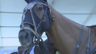 Présenté par Lolita Morena