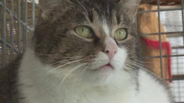 Présenté par Lolita Morena