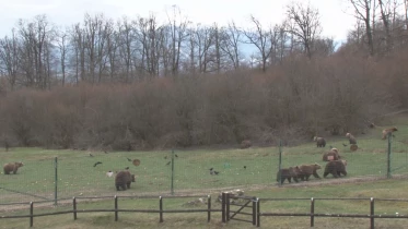 Présenté par Lolita Morena