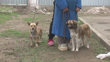 Présenté par Lolita Morena