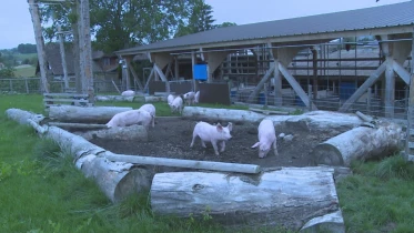 Présenté par Lolita Morena