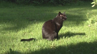 Présenté par Lolita Morena