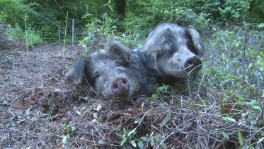 Présenté par Lolita Morena