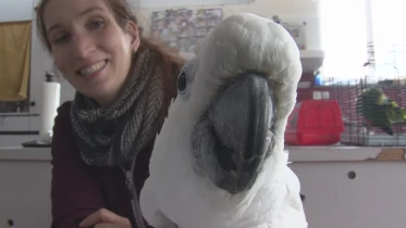 Présenté par Lolita Morena