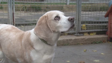 Présenté par Lolita Morena