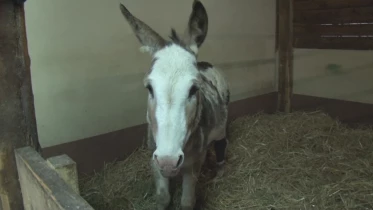 Présenté par Lolita Morena