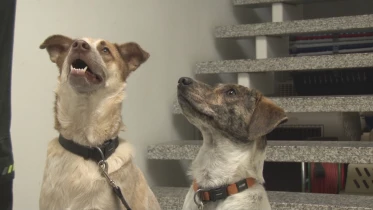 Présenté par Lolita Morena