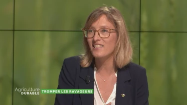 Tromper les ravageurs