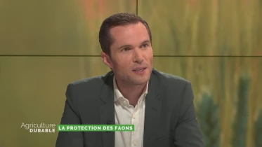La protection des faons