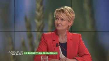 La transition climatique