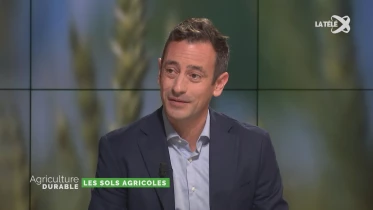 Les sols agricoles