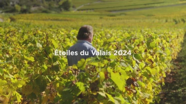 Johannisberg de la Cave Archi