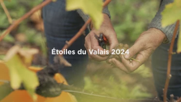 Petite Arvine de la Cave les Follaterres