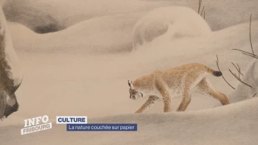 Journal du 6 mars 2024