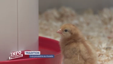 Journal du 22 mars 2024