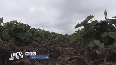 Journal du 22 avril 2024