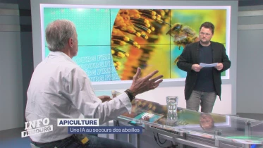 Journal du 29 mai 2024