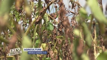 Journal du 24 juin 2024