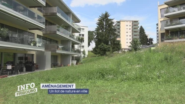 Journal du 13 août 2024