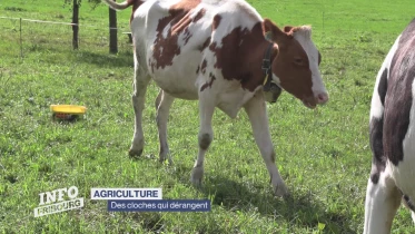 Journal du 10 septembre 2024