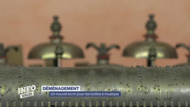 Journal du 17 janvier 2024