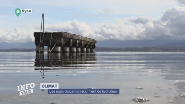 Journal du 12 février 2024