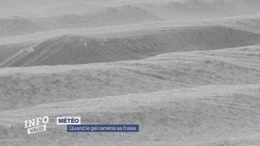 Journal du 22 avril 2024