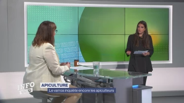 Journal du 29 mai 2024