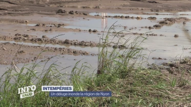 Journal du 10 juin 2024