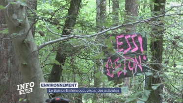 Journal du 17 juin 2024