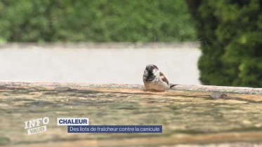 Journal du 18 juin 2024