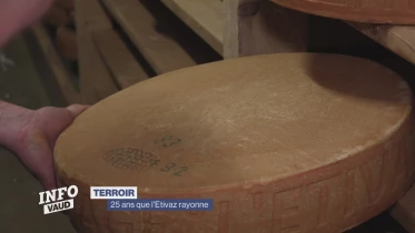 Journal du 19 juin 2024