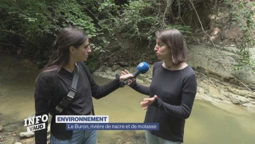 Journal du 4 juillet 2024