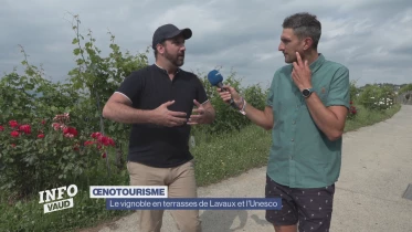 Journal du 11 juillet 2024