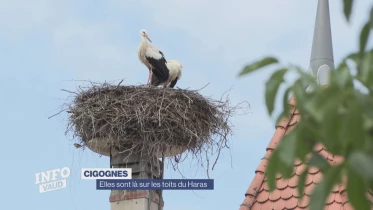 Journal du 16 juillet 2024