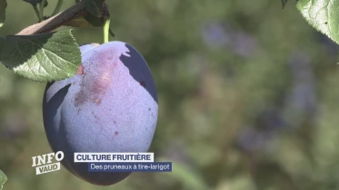 Journal du 26 août 2024