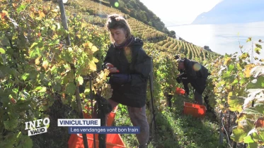 Journal du 14 octobre 2024