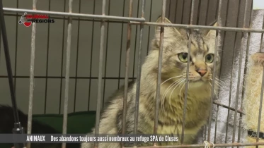 Journal du 13 janvier 2024