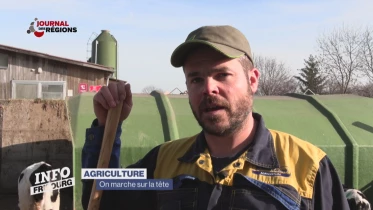 Journal du 3 février 2024