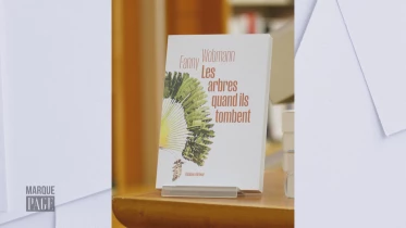 Les arbres quand ils tombent - Fanny Wobmann - Éd. Quidam