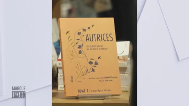 Autrices. Ces grandes effacées qui ont fait la littérature - Daphné Ticrizenis - Éd. Hors-d&#039;atteinte