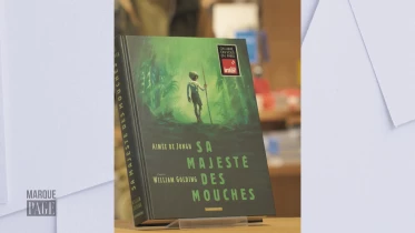 Sa Majesté des mouches - Aimée de Jongh &amp; William Golding - Éd. Dargaud